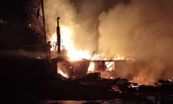 Korkunç olay: Yangın ihbarı yapıldı, ağaçta asılı bulundu!