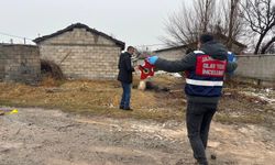 Vicdanları sarsan olay: Evde yokken hayvanları tüfekle öldürüldü!