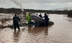 Yürekleri ısıtan kurtarma operasyonu: 9 yavru köpek hayata tutundu!