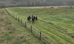 20 yıl sonra aydınlatıldı: Kayıp 3 kişinin öldürüldüğü ortaya çıktı