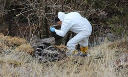 6 gündür aranan yaşlı adamın cesedi parçalanmış halde bulundu