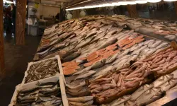 İzmirli balıkçılar sezonun kalanından umutlu