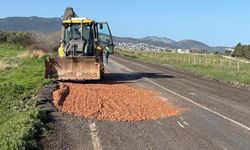 İzmir’de aşırı yağışların ardından kapanan yollar açıldı