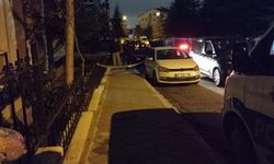 Annesini, 8 yaşındaki kızını ve eşini katledip intihar etti! Cesetleri İzmir...