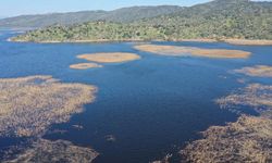 Azap Gölü kış yağışlarıyla yeniden doldu
