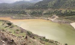 Bayındır’da yağmur bereketi: Barajlar ve dereler dolmaya başladı