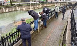 Çay yüzeyi ölü baıkklarla kaplandı: Yetkililer inceleme başlattı