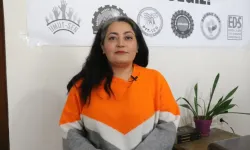 DGD-SEN Genel Başkanı Neslihan Acar kimdir?