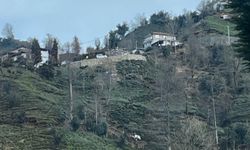 Direksiyon hakimiyetini kaybetti, 200 metrelik uçurum felaketi getirdi!