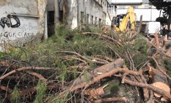 Fırtına İzmir’i vurdu: Ağaç devrildi, yollar su altında kaldı!