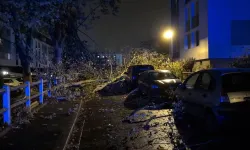 Fransa'da hortum felaketi: 300’den fazla ev zarar gördü
