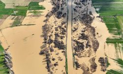 Gediz Nehri taştı, tarım arazileri sular altında