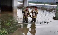 İzmir İtfaiyesi, bir yılda 4 bini aşkın hayvanın hayatına dokundu