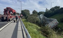 İzmir'de seyir halindeki kamyon şarampole devrildi, sürücü yaralandı