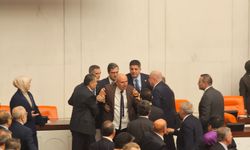 Mahmut Tanal yumruk olayı ne? TBMM'de ne oldu?