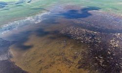 Manisa Marmara Gölü 5 yıl sonra yeniden su tutmaya başladı