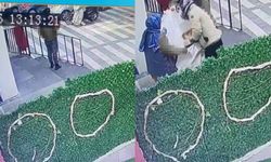 Market önünde şoke eden olay: Gebe kedi çuvala konuldu, görüntüler sosyal medyayı salladı!