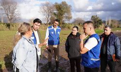 Muğla Büyükşehir Belediyesi, sel mağduru üreticileri yalnız bırakmıyor
