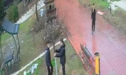 Parkta kameraya ynasıyan o an: Çocuklar kuş yuvasını parçaladı!