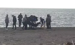 Sahilde tüyler ürperten olay: Polis soruşturma başlattı