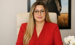 Siyaset Bilimci Sönmez: Daha çok Özarslan vakası görürüz