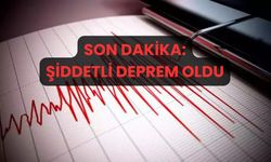 5 büyüklüğünde deprem meydana geldi