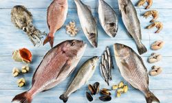 Su ürünleri sektöründen ABD'de büyük başarı: Türk levreğine hayran kaldılar