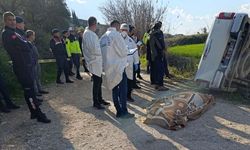 Tarla yolu kavgası kanlı bitti: 3 çocuk babası komşu hayatını kaybetti