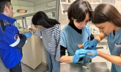 Torbalı’da sağanak alarmı: Mahsur kalan hayvanlar kurtarıldı