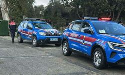 Tüfekle vurulan köpekler olayında yeni gelişme: Şüpheli cezaevine gönderildi