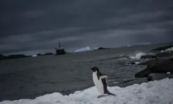 Türk bilim insanları 10. kez Antarktika’da göreve başladı