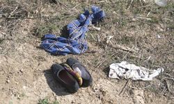 Yol kenarında gelincik topluyordu… Feci kaza ölümle sonuçlandı