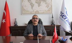 Veysel Tay kimdir, aslen nereli, kaç yaşında?