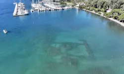 Kalimçe Harabeleri, 1. Derece Arkeolojik Sit Alanı ilan edildi