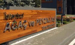 Ali Sukas özel kalem müdürü Murat Or kimdir?