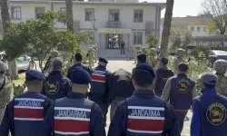 Arazi anlaşmazlığı kanlı bitti: Annesini odunla öldürdüğünü itiraf etti