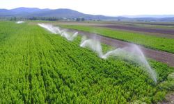 Bergama'da tarımsal dönüşüm gündemi: DEVA Partisi’nden su krizi uyarısı