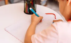 Bilim insanları açıkladı: Solaklık neden yok olmadı?