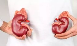 Böbrek hastalıkları sinsi ilerliyor: Her 10 kişiden biri risk altında