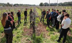 Buca Belediyesi’nin üzüm bağları eğitim yuvasına dönüştü