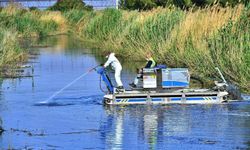 Büyükşehir’den iki yılda kapsamlı çevre seferberliği