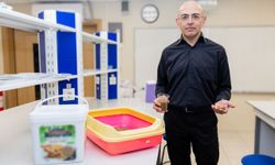 Ceviz kabuğundan üretildi: Yerli ve doğal kedi kumu sağlık risklerini azaltıyor