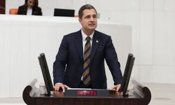 CHP'li Deniz Yücel'den TÜİK önergesi: "Milyonların vebalini taşıyor"