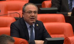 CHP'li Karakoz'dan emekliler için çağrı: Ya zam ya sandık!