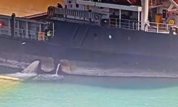 Deniz kirliliğine sıfır tolerans: Gemiye rekor ceza!