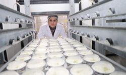 Devlet desteğiyle kendi markasını kurdu