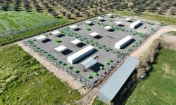 Edremit’te can dostlara doğal yaşam alanı geliyor