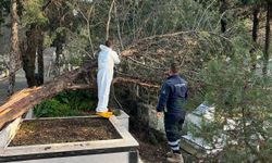 Fırtına sonrası hızlı müdahale: İzmir’de mezarlıklar onarılıyor
