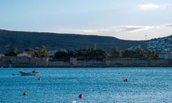 Foça Yerel Balık Festivali için geri sayım!