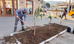 Foça’da estetik dönüşüm: İlçe genelinde kapsamlı düzenleme